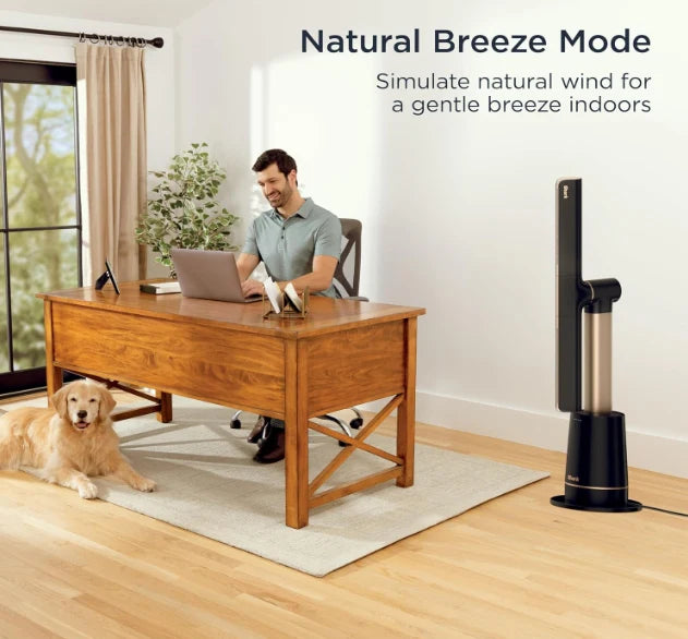 Turbocharged Cooling – Shark BreezeMaster Fan for the most comfortable wind(Limited time offer)